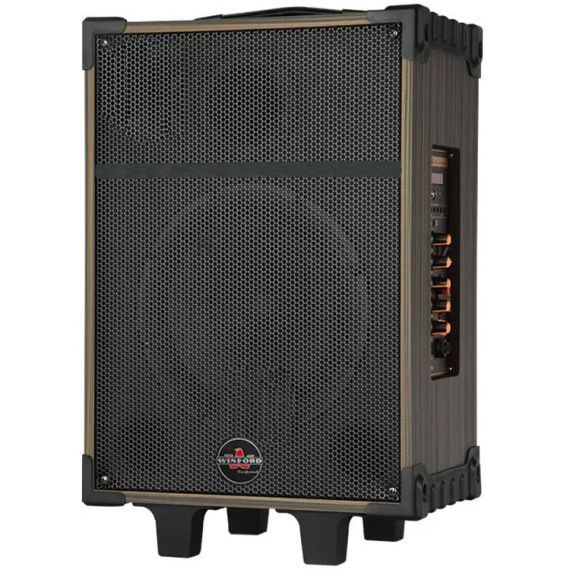 80W, rechargeable, trolley speaker, double microphone, D-12