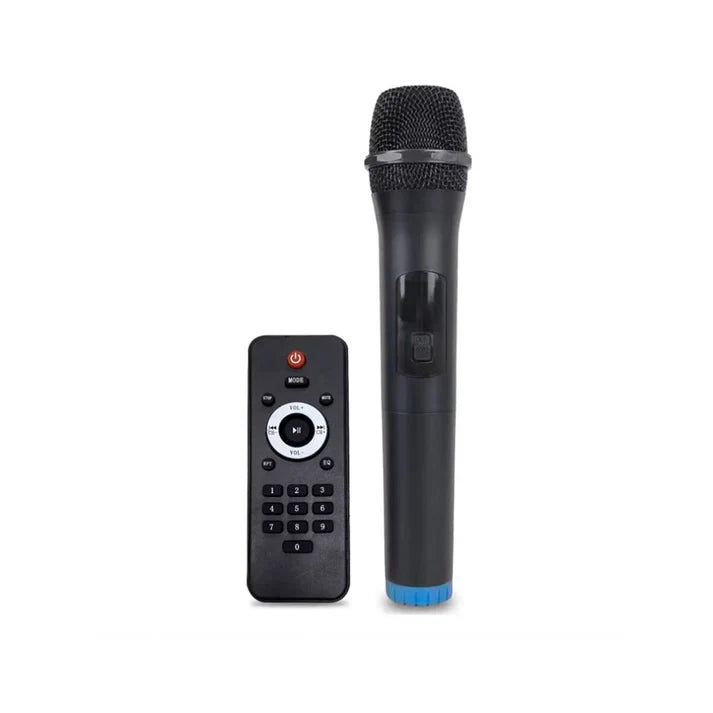100W Trolley Speaker with LED Lights