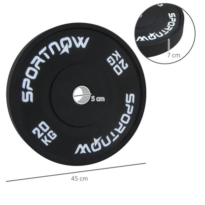 Set of 2 20kg Gym Discs for Barbell and Dumbbells with Ø5cm Attachment, Black