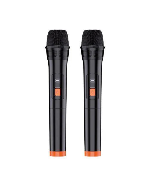 30W, portable speakers, led lights, double microphone