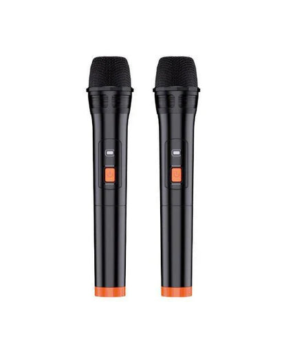 30W, portable speakers, led lights, double microphone