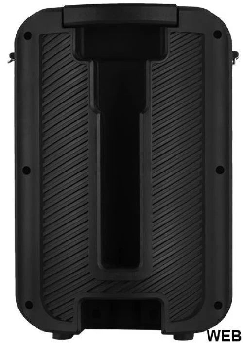 20W, portable speaker, led light