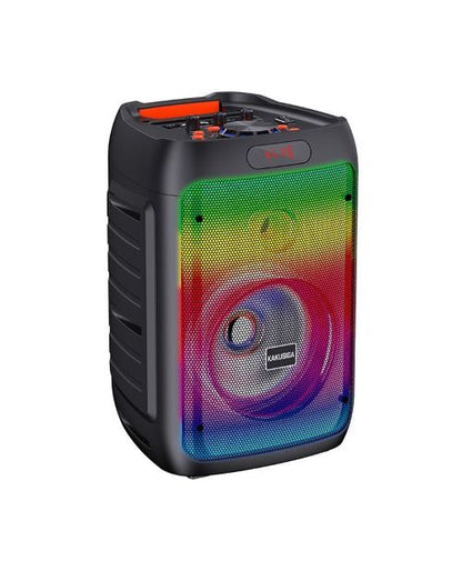 20W, portable speaker, microphone, led light, KSC-829