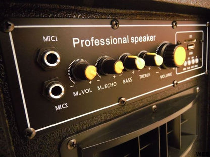 Amplified Acoustic Speakers Pair 150W max with USB and Bluetooth