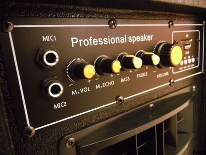 200W Amplified Acoustic Speakers Pair with USB - Black