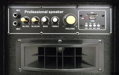 200W Amplified Acoustic Speakers Pair with USB - Black
