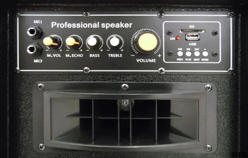 200W Amplified Acoustic Speakers Pair with USB - Black