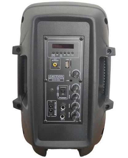 150W, pair, amplified speakers, LY-08