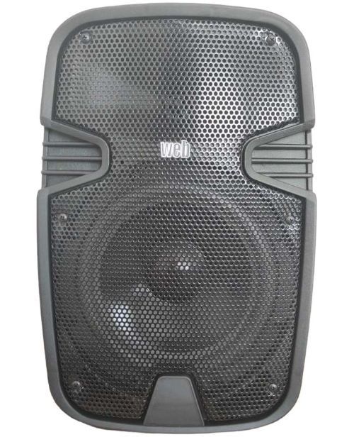 150W, pair, amplified speakers, LY-08