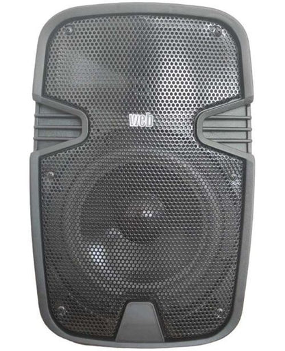 150W, pair, amplified speakers, LY-08
