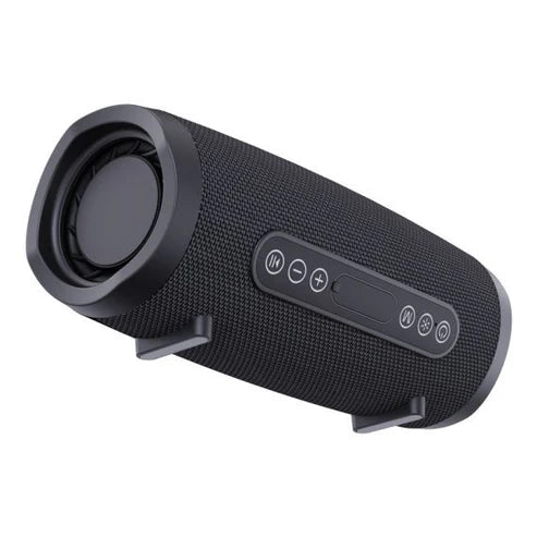 10W Bluetooth Speaker with FM Radio