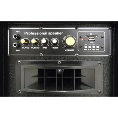 100W, pair , amplified speakers, BT-USB, LY30-B