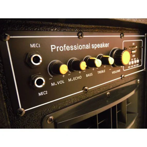 100W, pair , amplified speakers, BT-USB, LY30-B