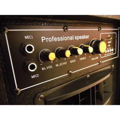100W, pair , amplified speakers, BT-USB, LY30-B