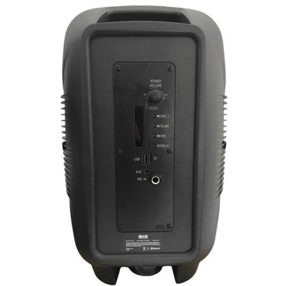 20W, Rechargeable Bluetooth speaker with USB/SD Card/FM Radio and LED lights