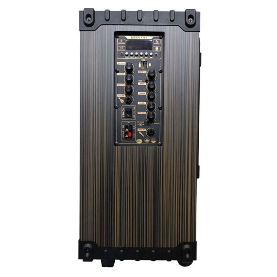 80W, rechargeable, trolley speaker, double microphone,  D-12