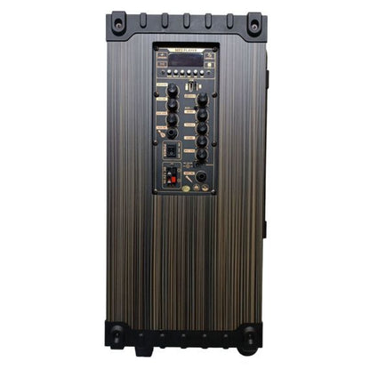 80W, rechargeable, trolley speaker, double microphone,  D-12