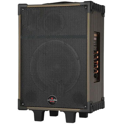 80W, rechargeable, trolley speaker, double microphone,  D-12