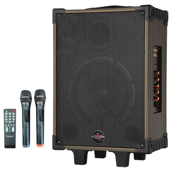 80W, rechargeable, trolley speaker, double microphone,  D-12