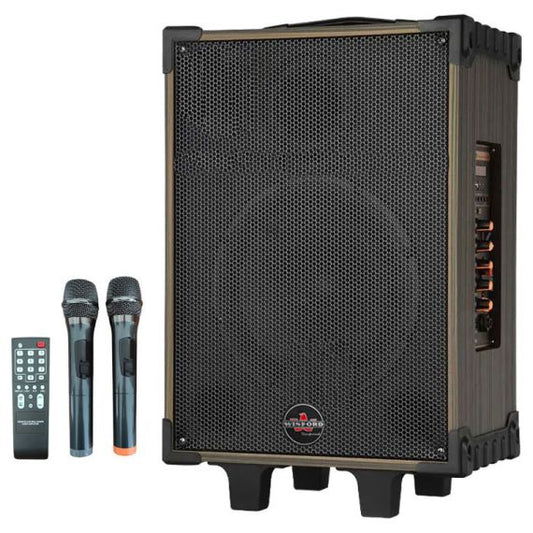 80W, rechargeable, trolley speaker, double microphone,  D-12