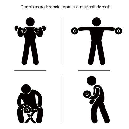 30kg Dumbbell Set (8 x 2.5 kg, 4 x 1.5 kg), Gym Weights with 12 Discs and 2 x 2 kg Dumbbells for Home Training, Black