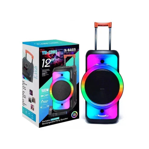 100W Trolley Speaker with LED Lights