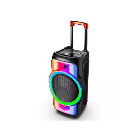 100W Trolley Speaker with LED Lights