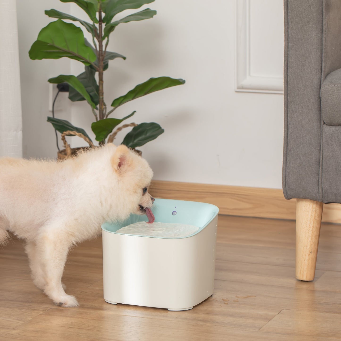 3L Cat and Dog Water Fountain with Carbon Filter, LED Light and Motion Sensor, White