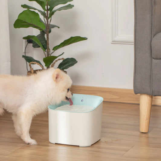 3 L Pet Water Fountain with LED Light & Motion Sensor